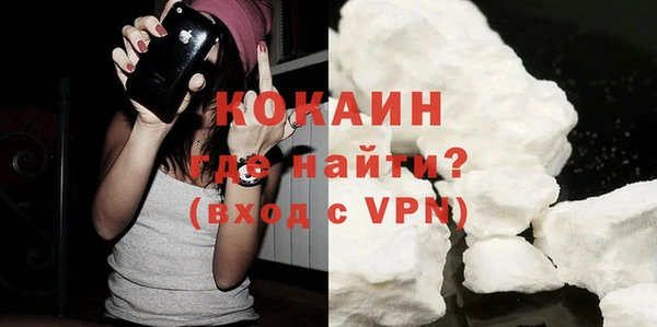 спайс Ладушкин