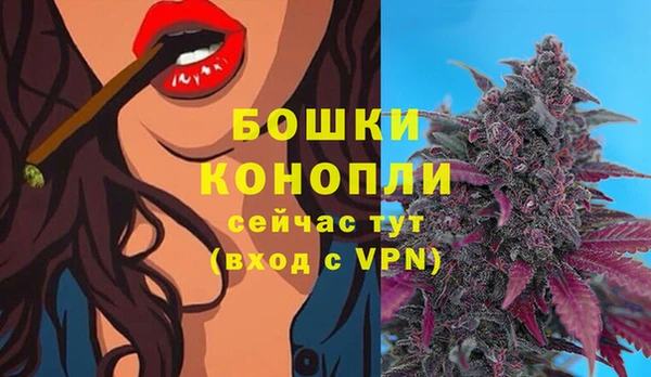 спайс Ладушкин
