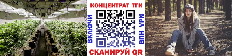 наркотики  Ачхой-Мартан  ТГК гашишное масло 