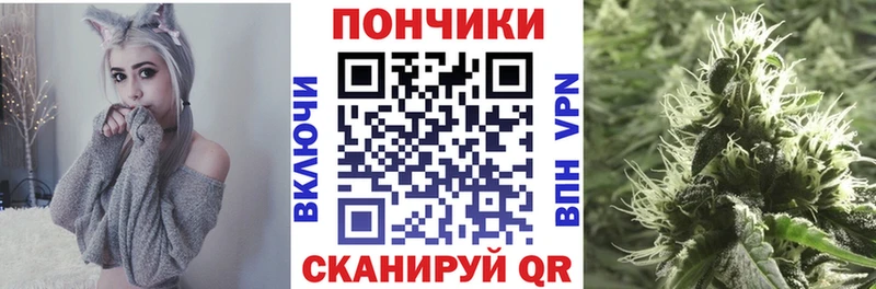 Конопля индика  Ачхой-Мартан 